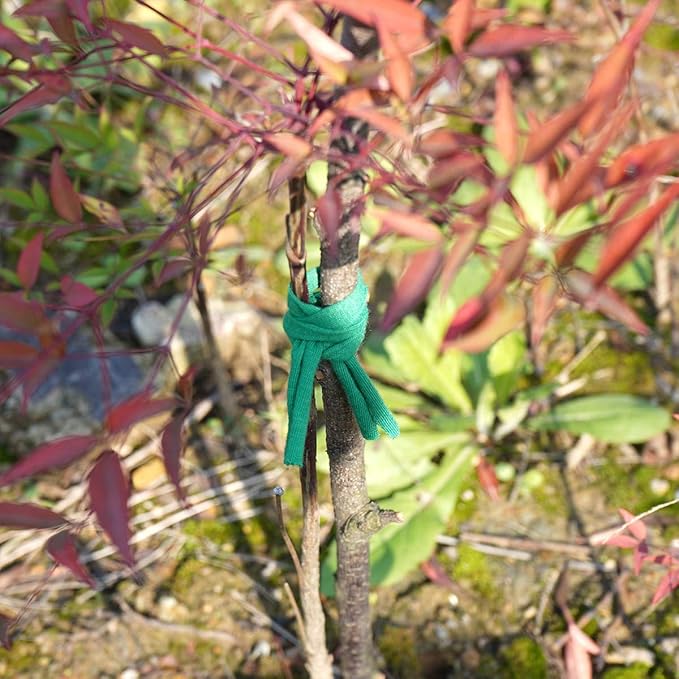 Decoroca Degradable Soft Green Garden Twine - 98FT Environmentally Smart Plant - Image 2