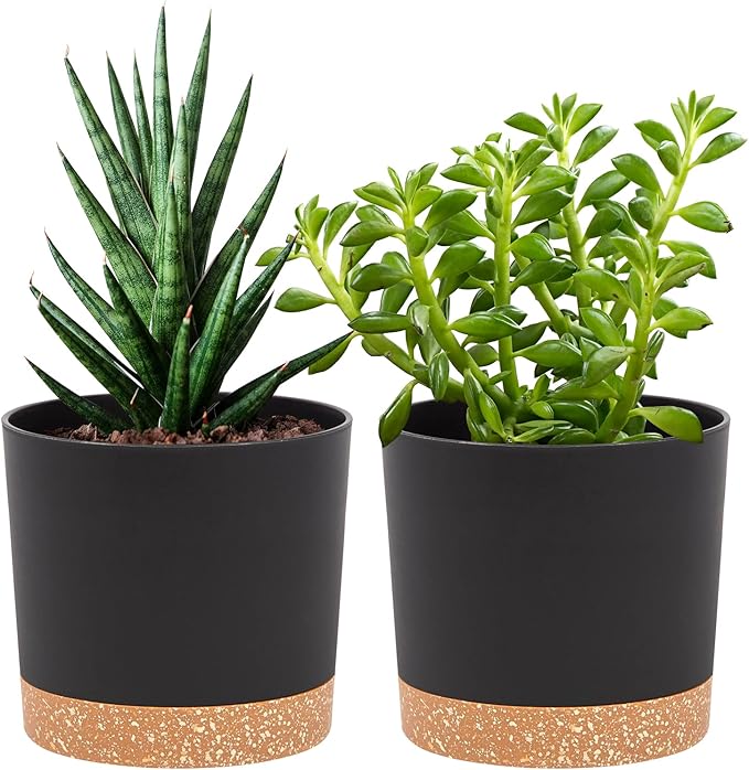 QCQHDU 5 inch Plant Pot, 2 Pack Planters by QCQHDU