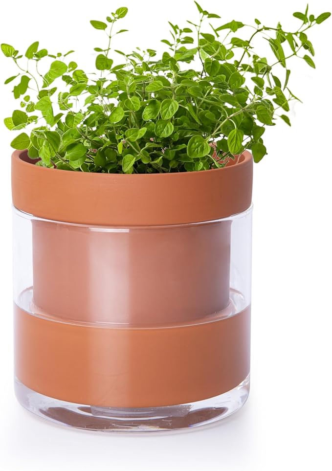Phoenix Vine 4 Inch Self Watering Planter Pot, Terracotta Clay Pot by Phoenix+Vine