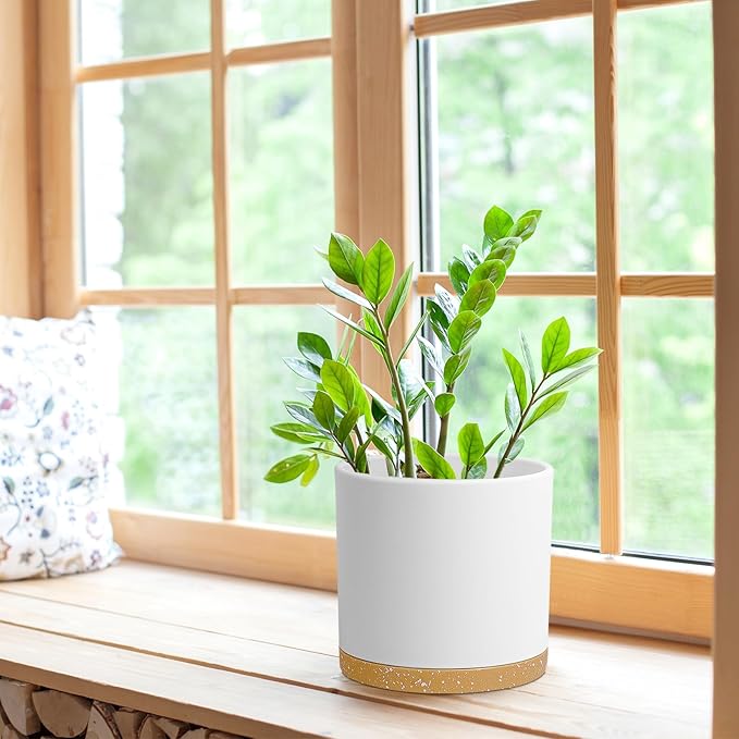 8 Inch Cylinder Flower Pots for Indoor Outdoor Plants, Medium Deep Plant Pots - Image 4