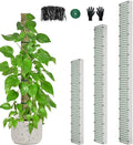 60"/40"/24" Metal Moss Pole, D Shape Sphagnum Moss Pole, Moss Poles by HOLANHING