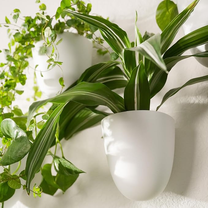 PlantPod Classic - Image 6