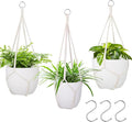 garini 3 Pack Different Size Macrame Plant Hanger, Hanging Plants Holder by garini