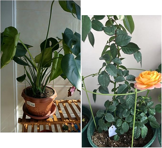 Hanobo 5 Pack Garden Plant Support Rings - Image 3