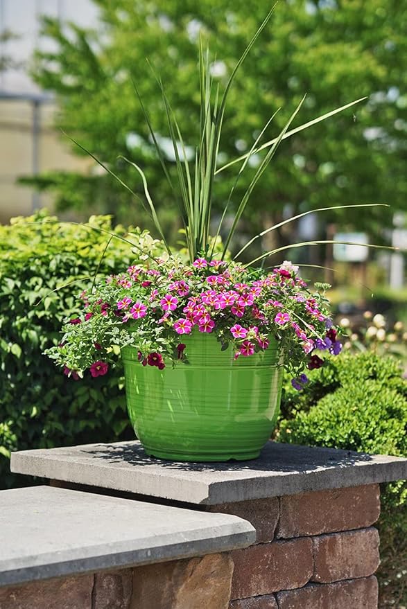 Garden Elements Indoor/Outdoor Glazed Brushed Happy Plastic Planter, Bright - Image 2