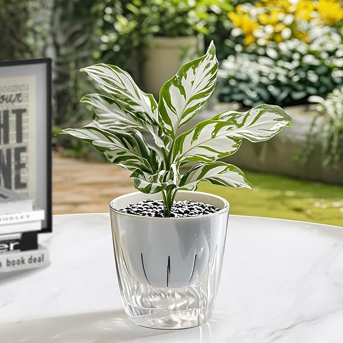 Self Watering Planters - Image 8