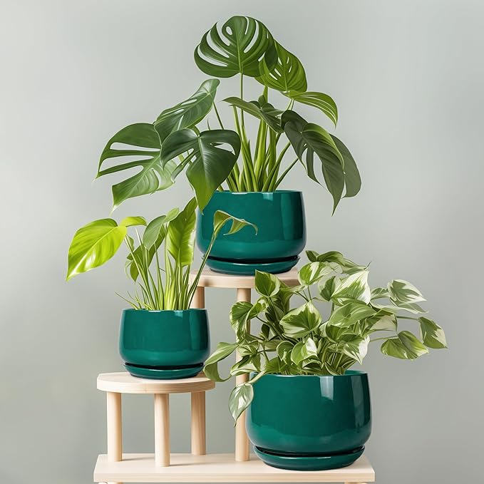 G EPGardening Ceramic Pots for Plants - Image 7