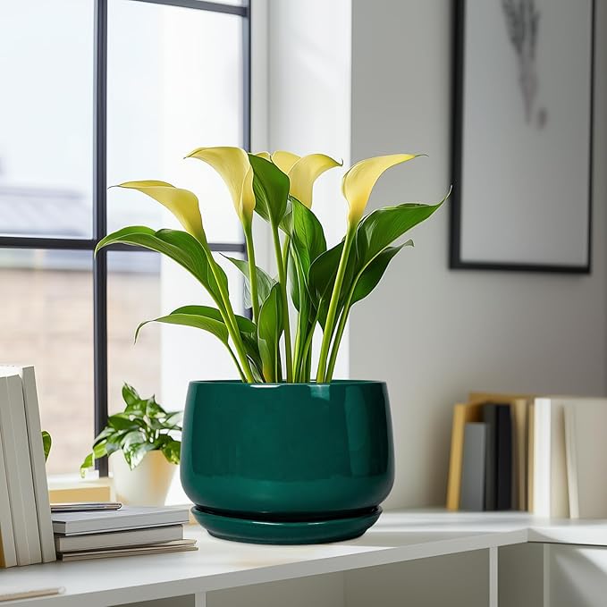 G EPGardening Ceramic Pots for Plants - Image 8