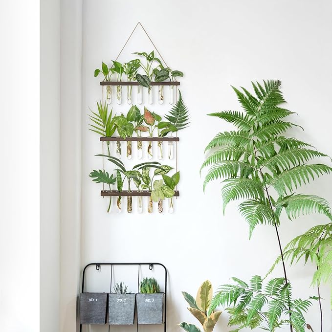 Mkono Plant Propagation Tubes, 3 Tiered Wall Hanging Terrarium - Image 4
