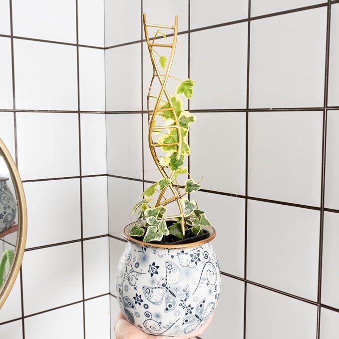 Indoor Plant Trellis for Potted Plants - Image 7