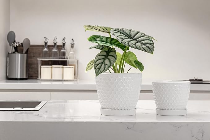 Docrin Ceramic Plant Pots Set of 2, High-Fired Clay Indoor Planters - Image 5