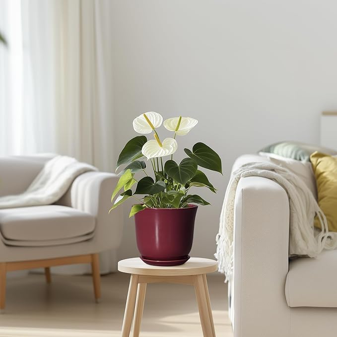 Ceramic Pots for Plants - Image 7