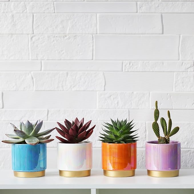 Gepege Succulent Pots for Plants, Succulent Planter - Image 4