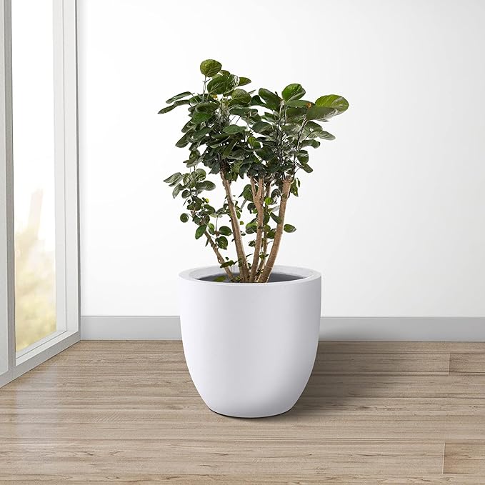 Kante 14 Inch Dia Round Concrete Planter, Indoor Outdoor Large Plant Pot - Image 10