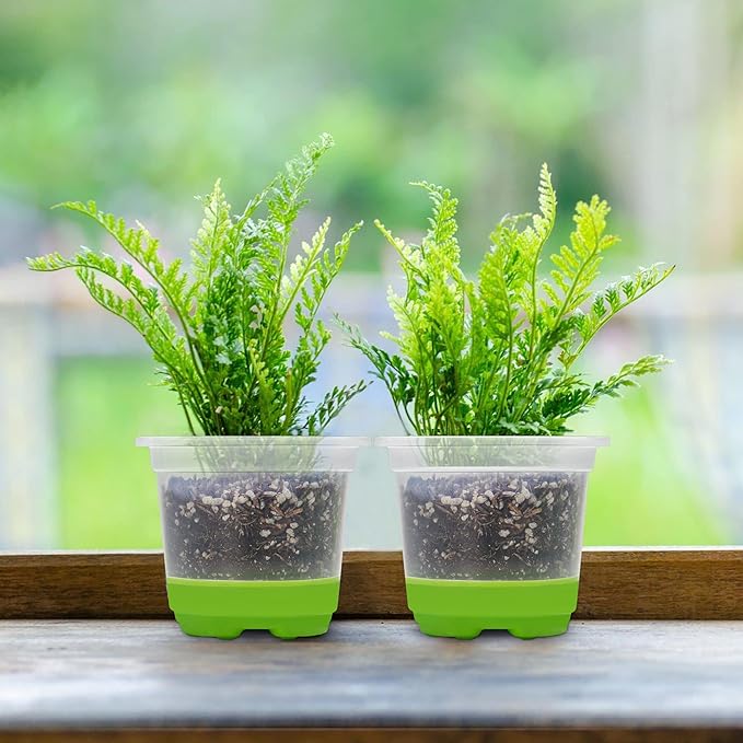MIXC Thickened Clear Nursery Pots - Image 7