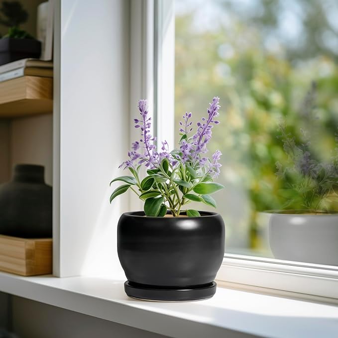 SQOWL Ceramic Plant Pot - Image 2