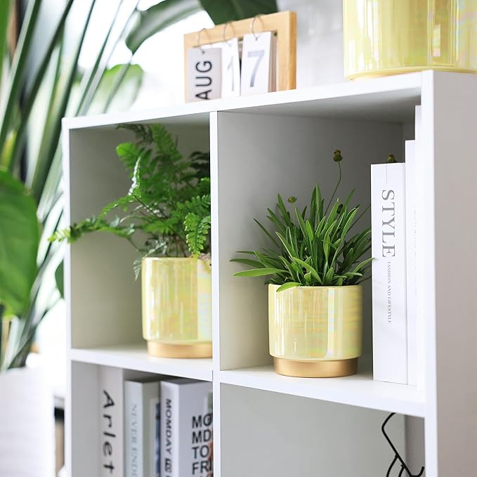 Gepege Indoor Pots for Plants, Ceramic Planter - Image 3
