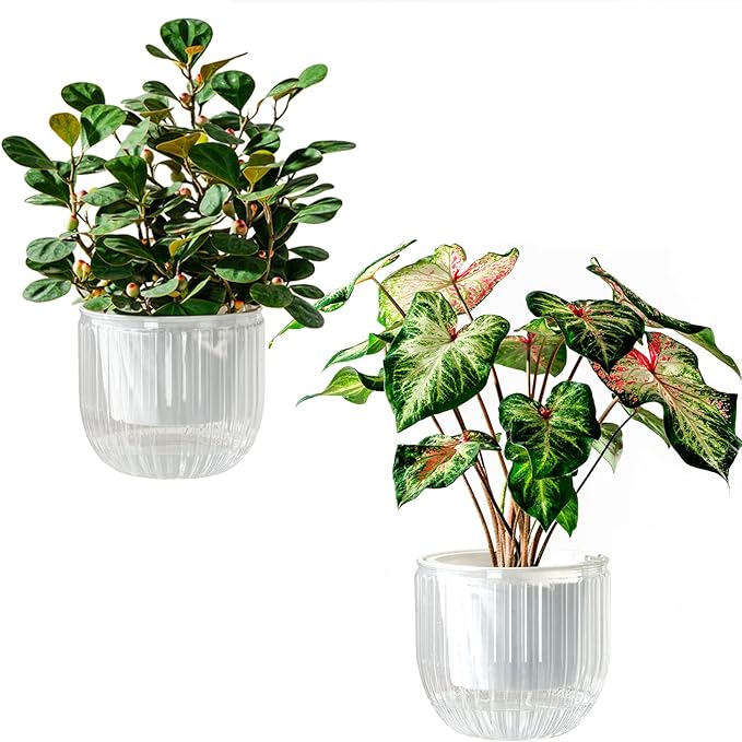 Melphoe Self Watering Pots for Indoor Plants Planter, 6.5 Inch 2 Pack Planters by Melphoe