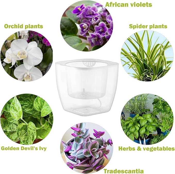 3-Pack Clear Self Watering Planters - Image 2