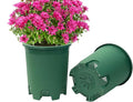 5 Gallon 10-Pack Green Nursery Pot Black Plastic Planters by CottaPlanters