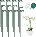 MAFONE 12 Pack 16inch Plant Support Stakes, Plant Stick Garden Single Stem by Unknown
