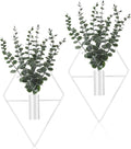 Jexine 4 Pcs Hanging Planters by Jexine