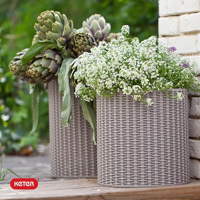 Keter Cylinder Set of 3 Rattan Resin Planter - Image 6