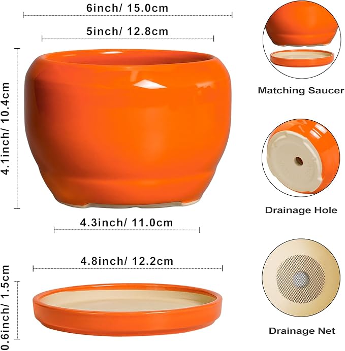 SQOWL Ceramic Plants Pots - Image 3