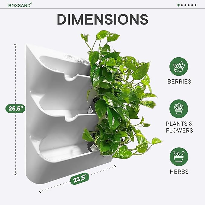BOXSAND-12 Vertical Wall Planter - Image 5