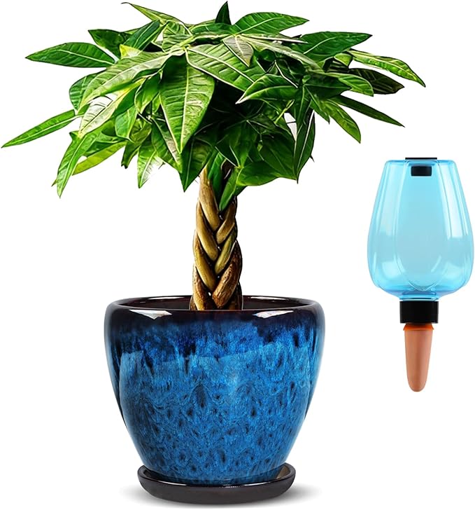 Ceramic Pots for Plant with Self Watering Globes, 8 inch Planters for Indoor - Image 8