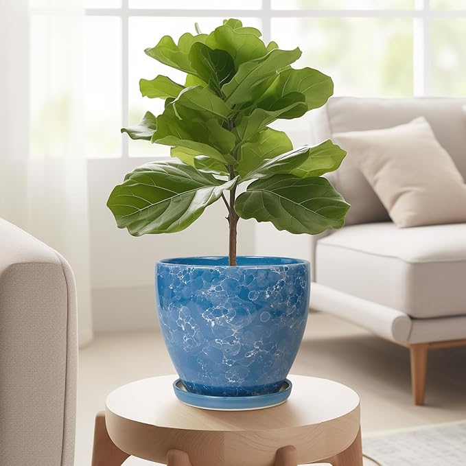 Ceramic Pots for Plants - Image 5