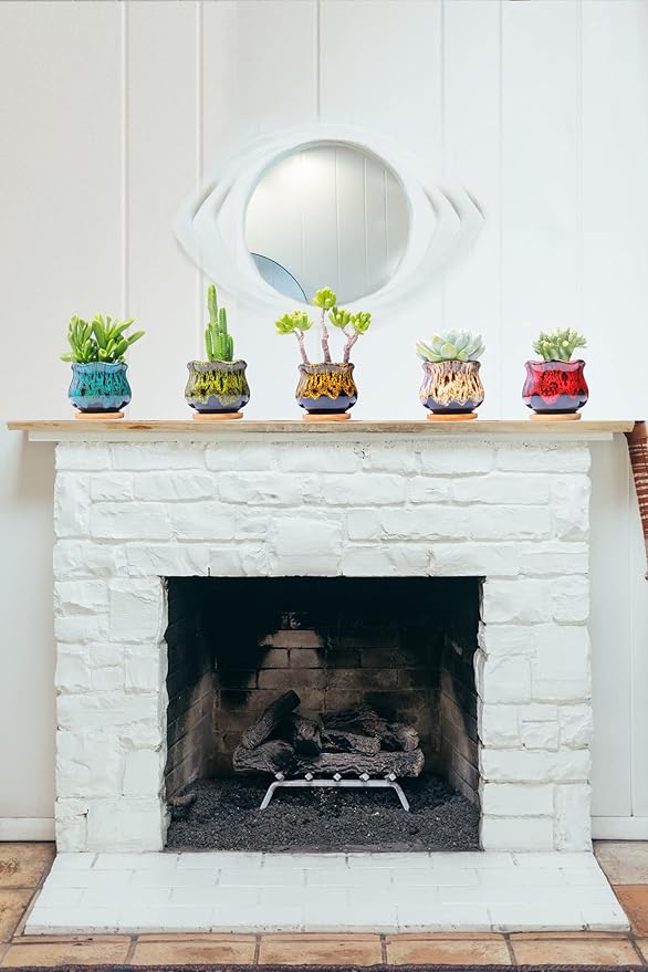 Cute Ceramic Succulent Garden Pots, Planter - Image 4