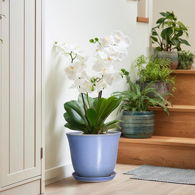 Ceramic Plant Pots - Image 6