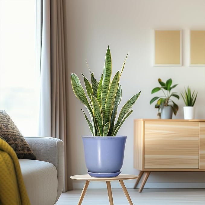 Ceramic Pots for Plants - Image 5