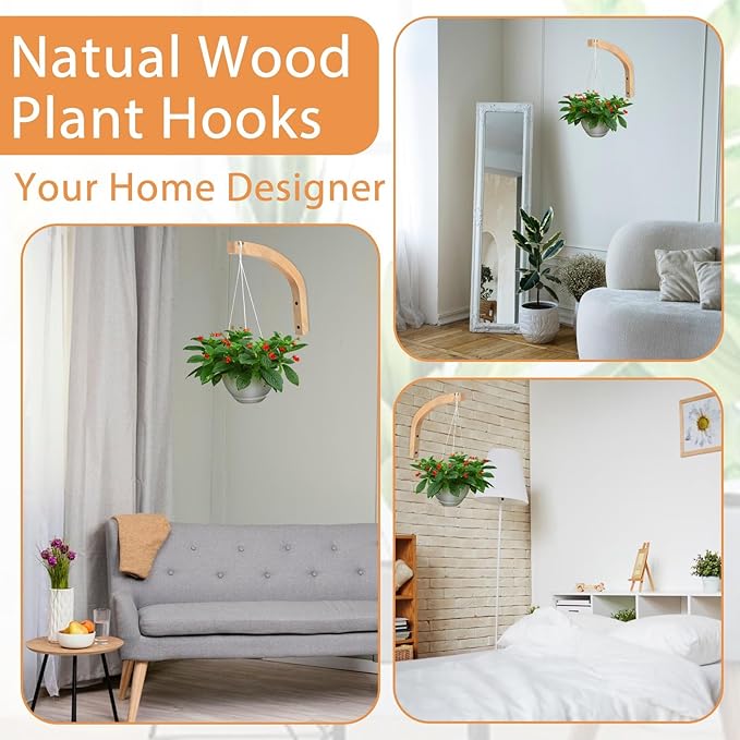 Wooden Wall Hooks for Plants - Image 5