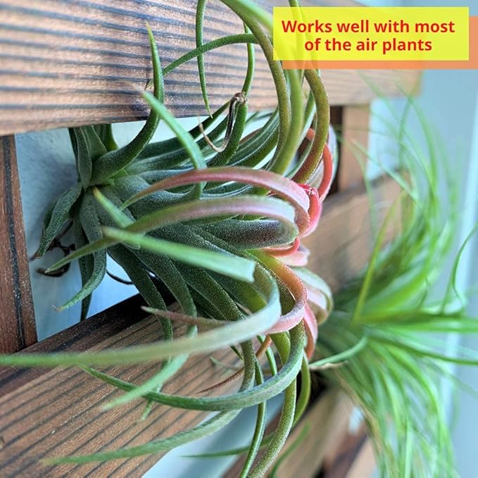 ShopLaLa Wall Planters - Image 8