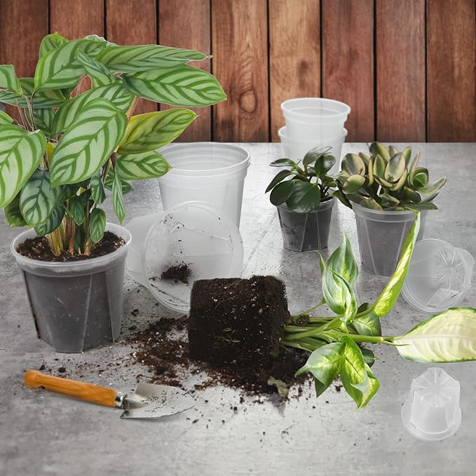 GREENPARA Transparent Plastic Garden Pots Planter - Image 7