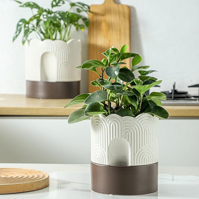 Nihow Self Watering Plant Pot: 6 Inch Ceramic Planter - Image 4