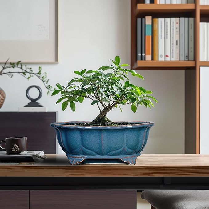 Bonsai Tree Pot - Image 8