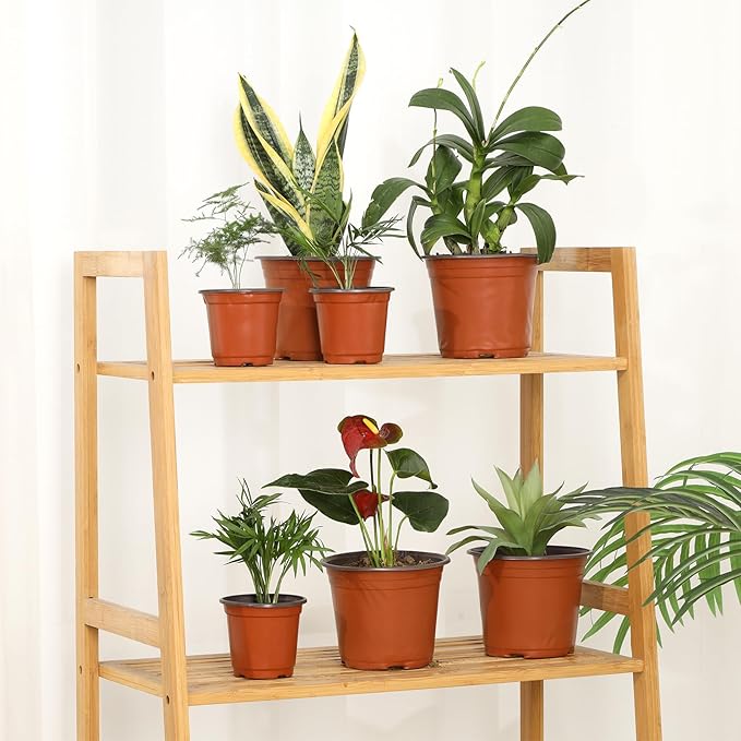 200 Pack 6 Inch Plastic Nursery Pots - Image 7