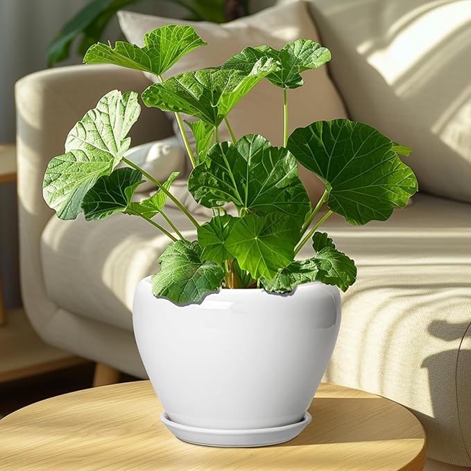 Ceramic Pot for Plants - Image 7