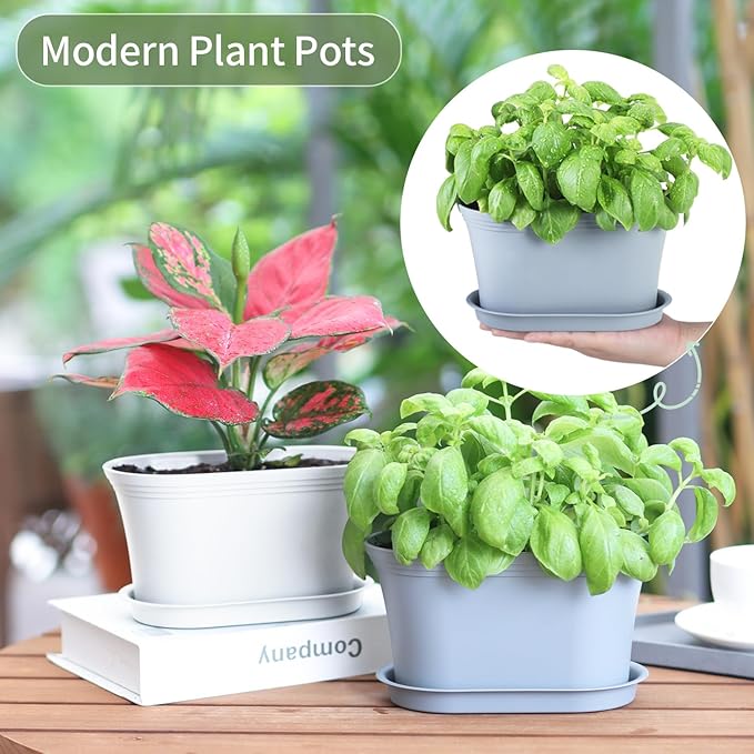 Windowsill Garden Pots, Succulents, African Violet - Image 3