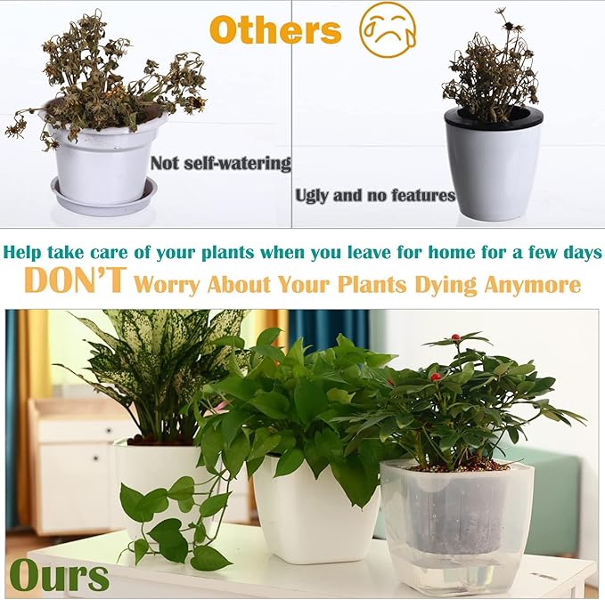 3-Pack Clear Self Watering Planters - Image 5