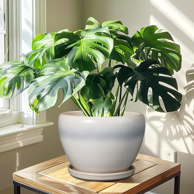 10 Inch Ceramic Planter Pot - Image 7