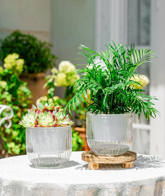 Melphoe Self Watering Pots for Indoor Plants Planter, 6.5 Inch 2 Pack Planters - Image 3
