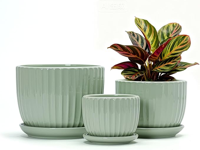 Ton Sin Flower Pots, Light Green Ceramic Plant Pots Set of 3, Small Glazed by TonSin