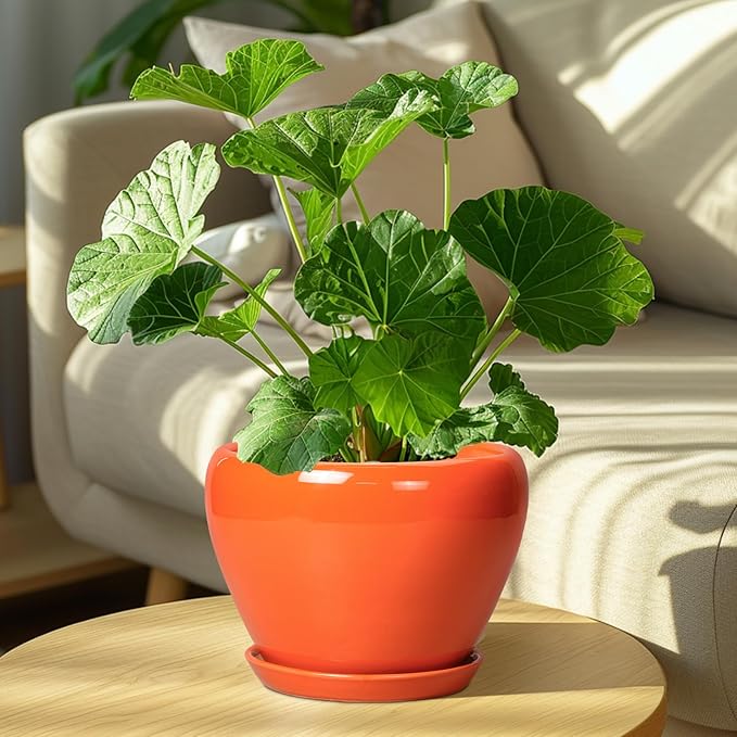 Indoor Plant Pot 8 Inch - Image 7