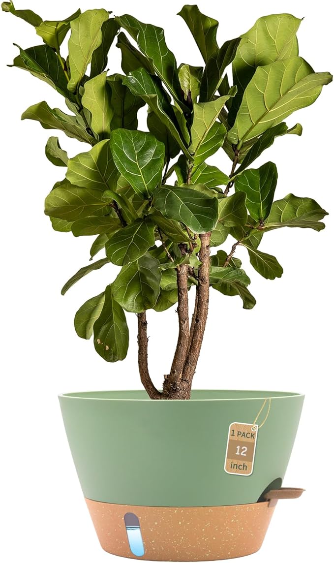 12-Inch Self Watering Planters by FIASON