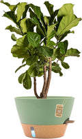 12-Inch Self Watering Planters by FIASON