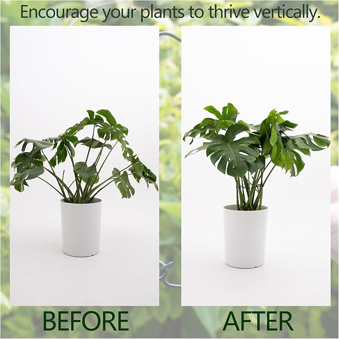 5PCS Monstera Plant Stem Support -7.3*6.25IN Adjustable Metal Stake - Image 3